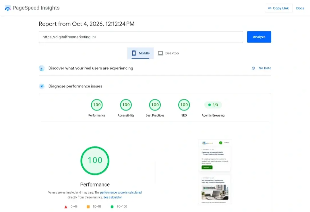 Google PageSpeed Insights mobile report for a WordPress site: 100 for performance, accessibility, best practices and SEO